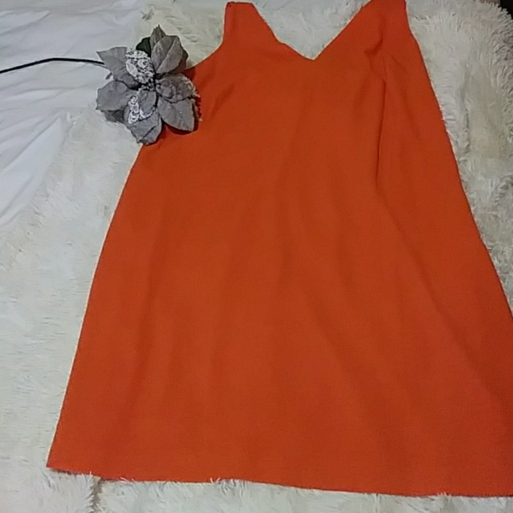 ~NWOT~Ralph Lauren Dress